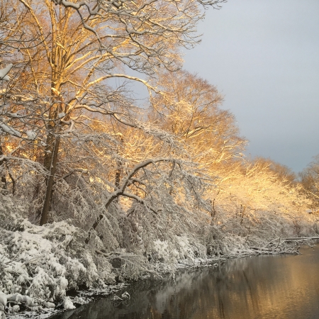A river bank, showing trees covered in snow, light up golden in the afternoon light. River water is seen reflecting that light in the bottom right of the photo.