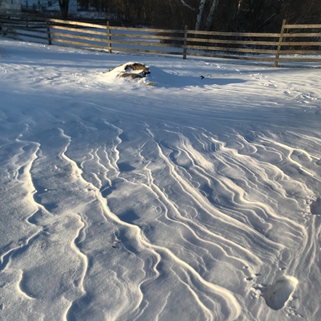 lines created by the wind in snow, with a fence in the background